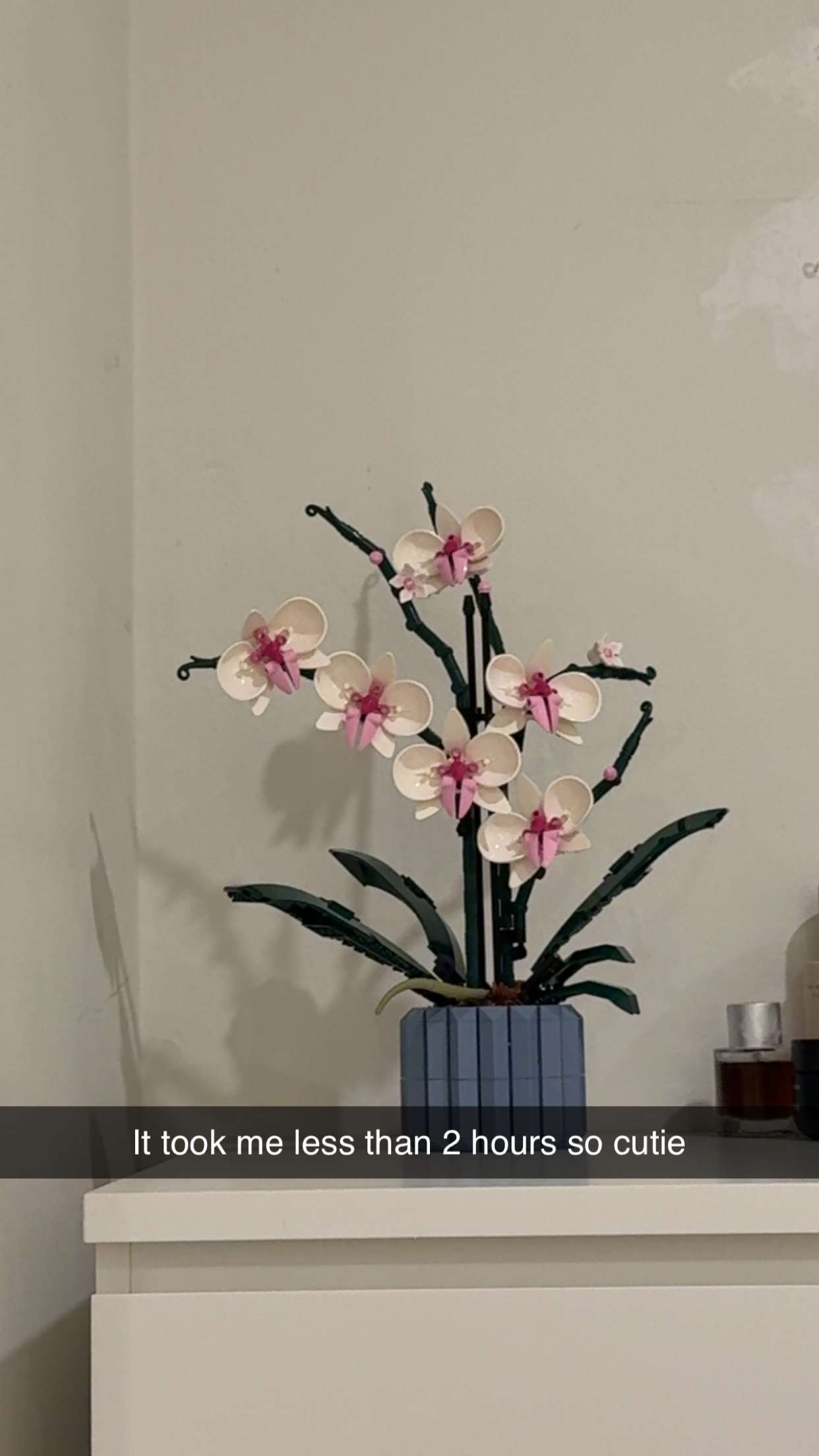 aimeejaiii snapchat image archive image