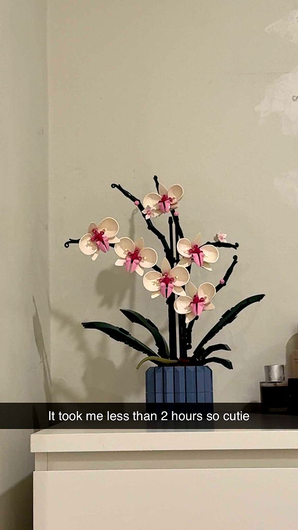 aimeejaiii image ~ Altpins