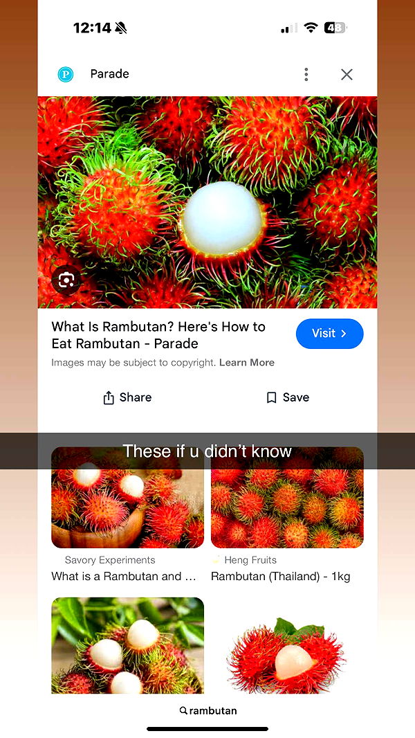 aimeejaiii image ~ Altpins