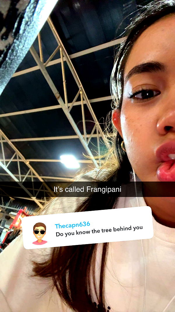 aimeejaiii image ~ Altpins