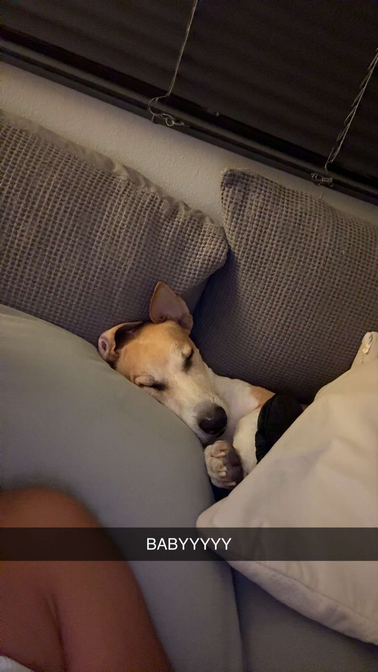 aimeejaiii snapchat image archive image