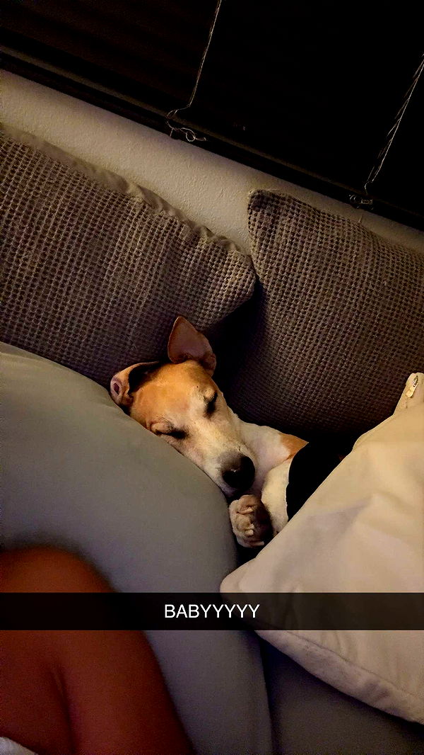 aimeejaiii image ~ Altpins