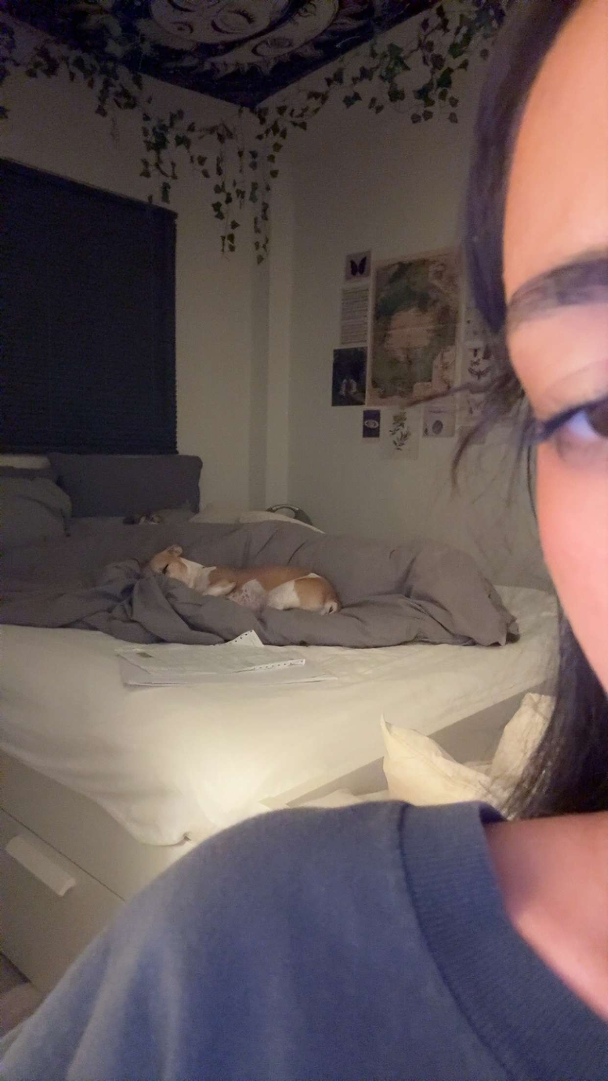 aimeejaiii snapchat image archive image