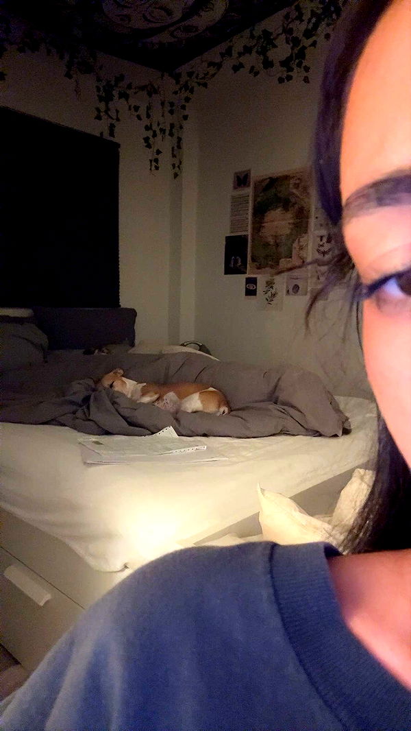 aimeejaiii image ~ Altpins