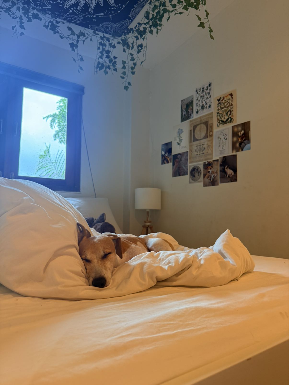 aimeejaiii snapchat image archive image