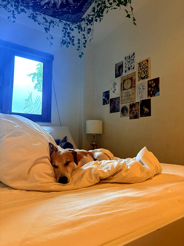 aimeejaiii image ~ Altpins