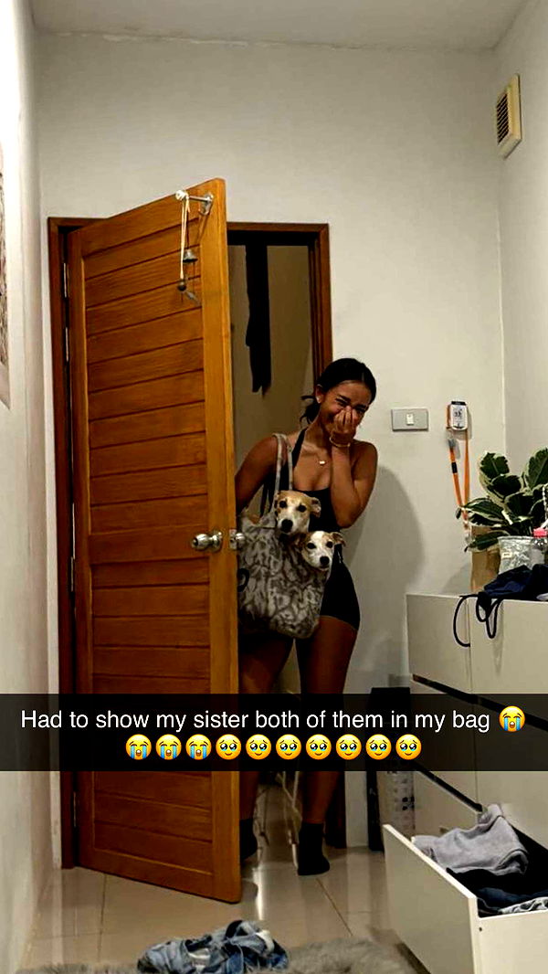 aimeejaiii image ~ Altpins