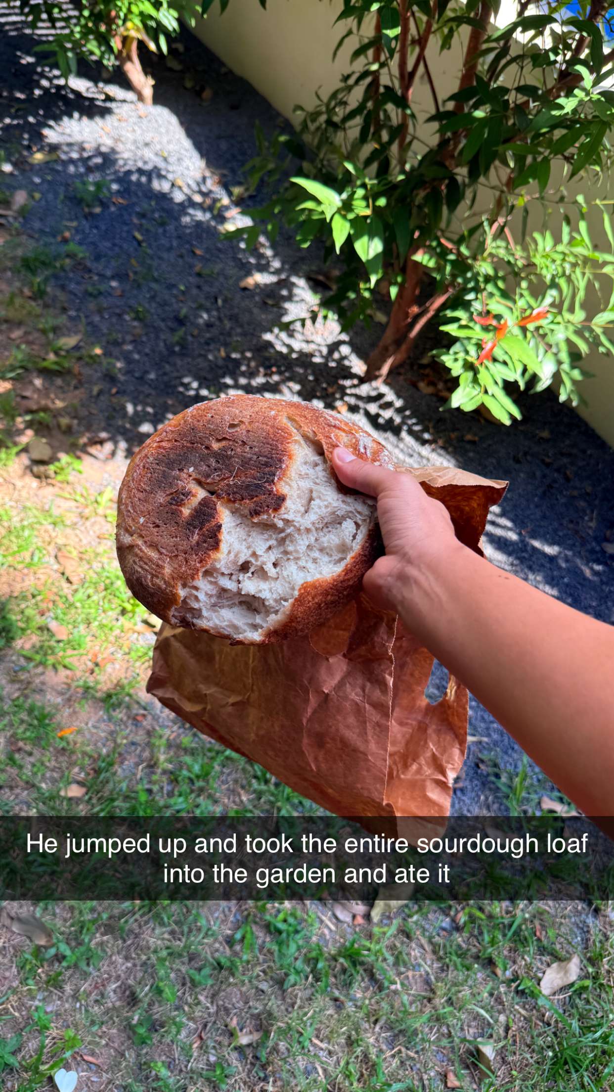 aimeejaiii snapchat image archive image