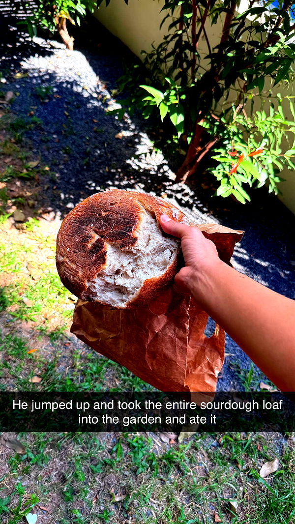 aimeejaiii image ~ Altpins