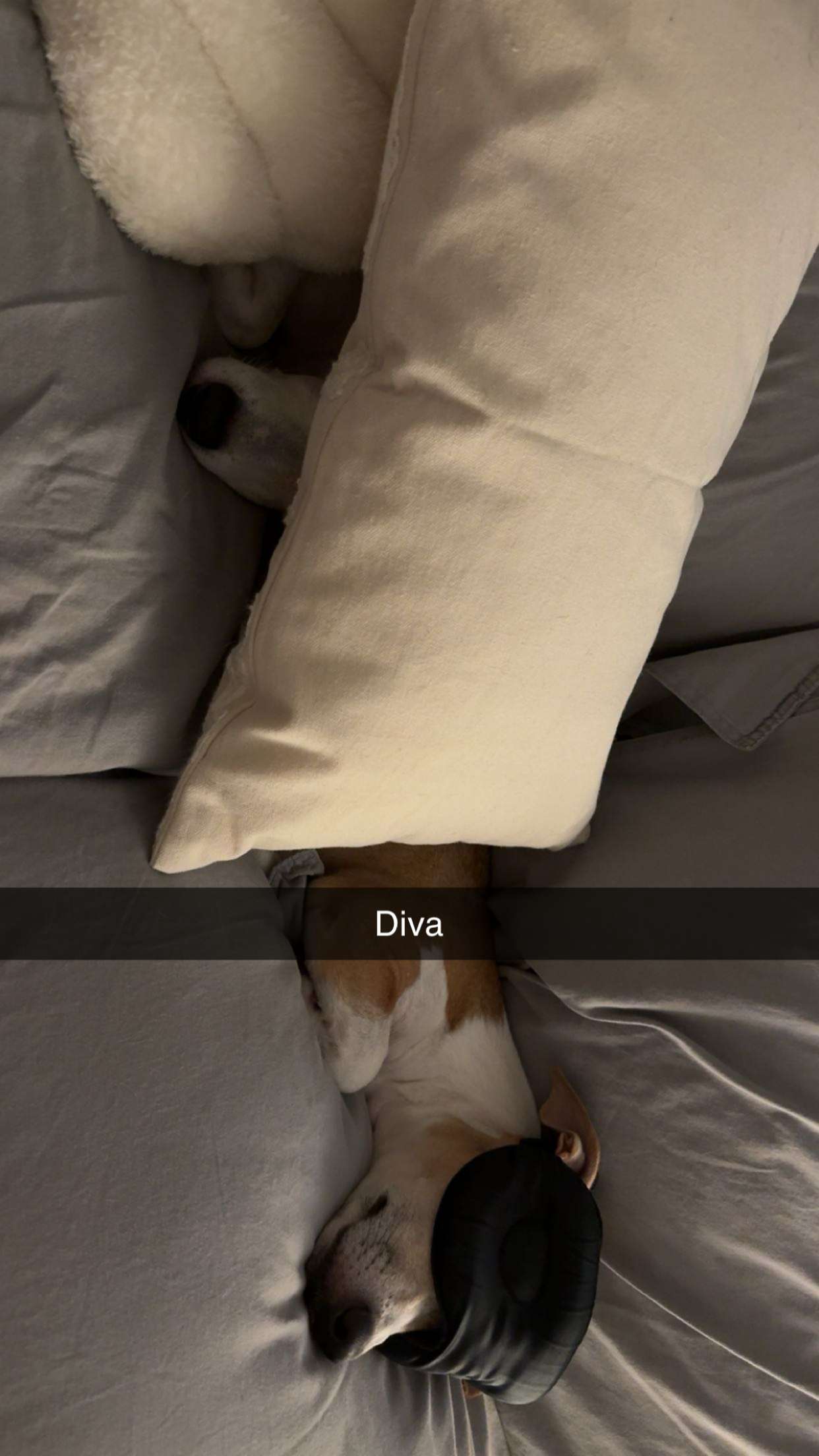 aimeejaiii snapchat image archive image