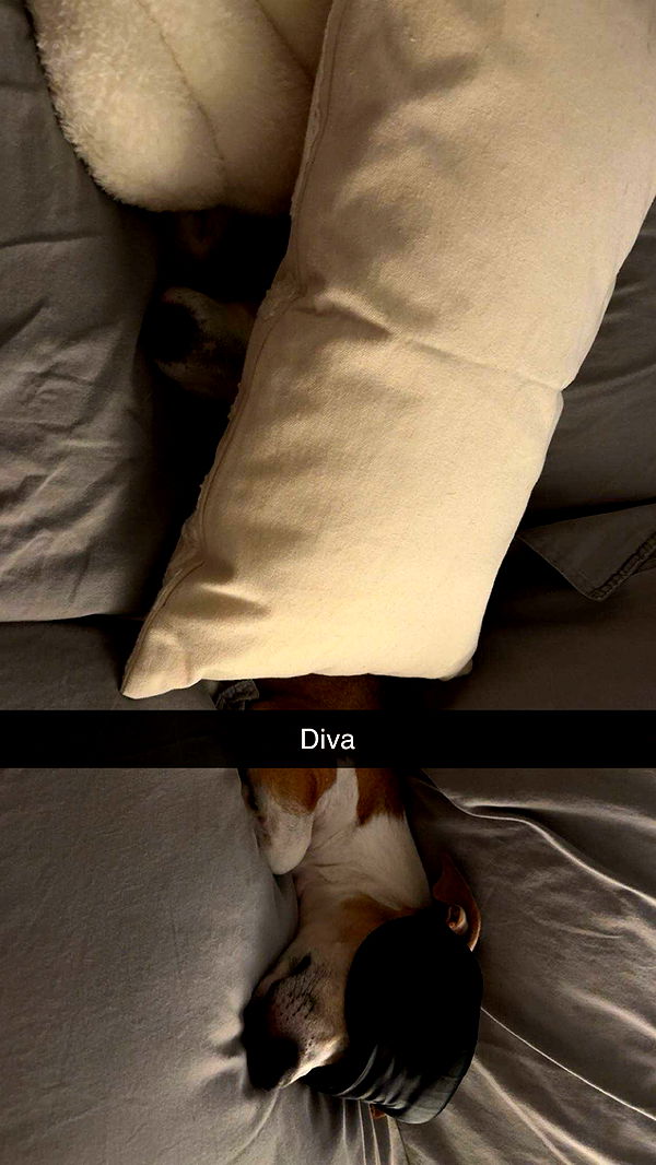 aimeejaiii image ~ Altpins