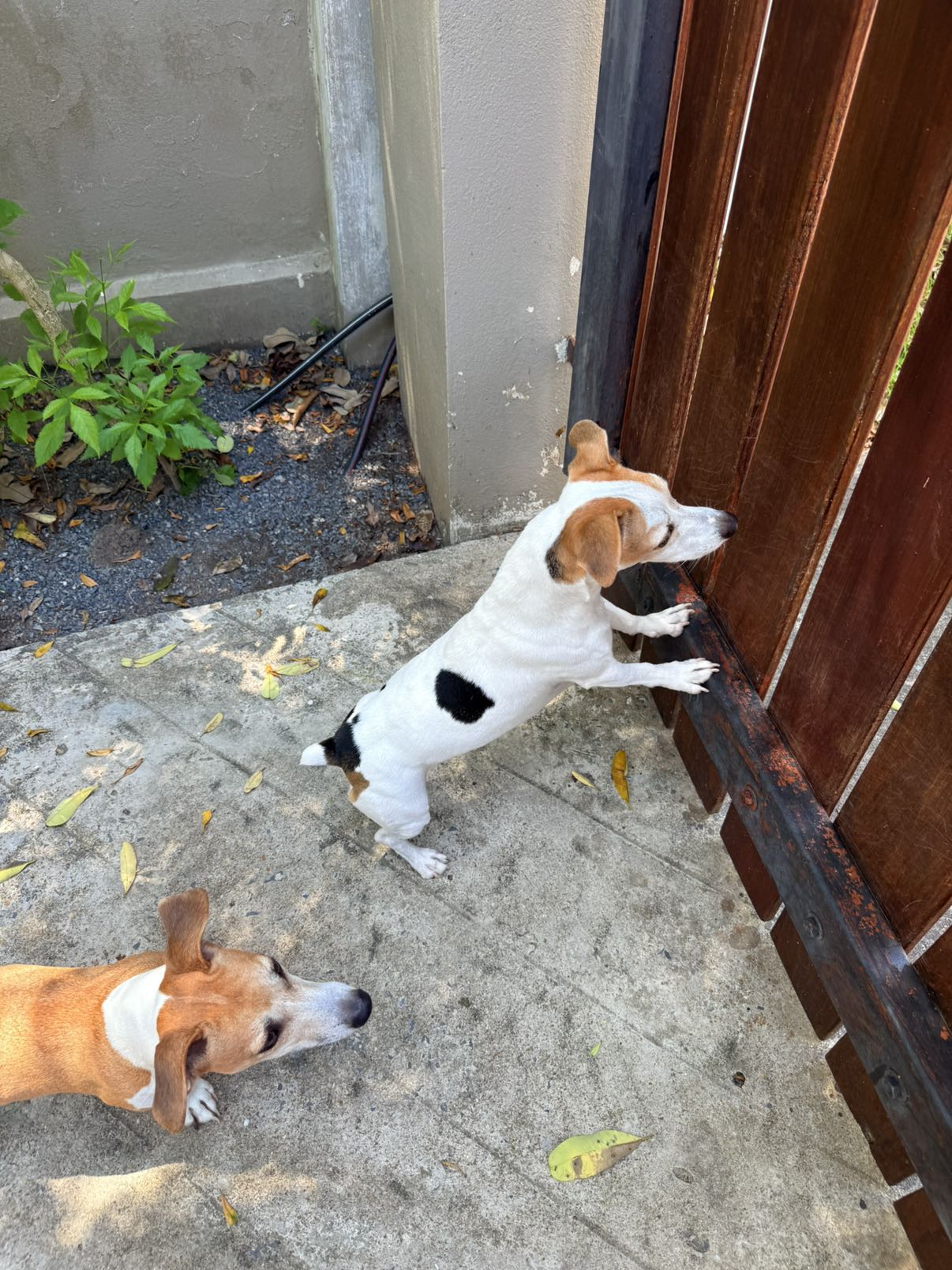 aimeejaiii snapchat image archive image