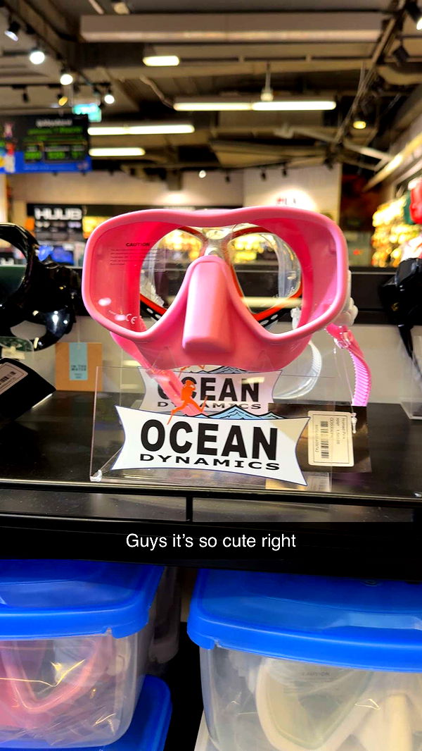 aimeejaiii image ~ Altpins