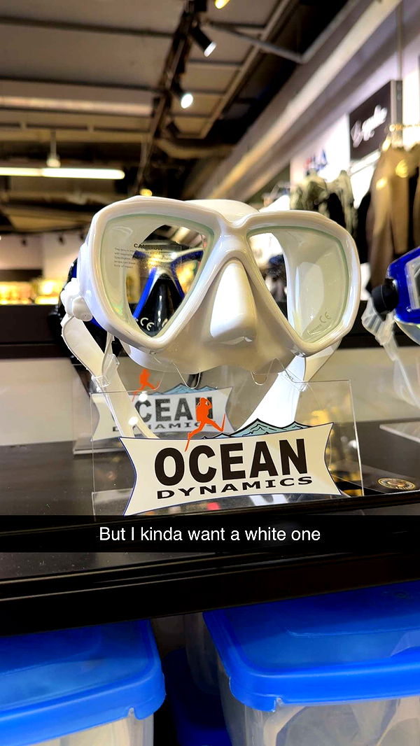 aimeejaiii image ~ Altpins