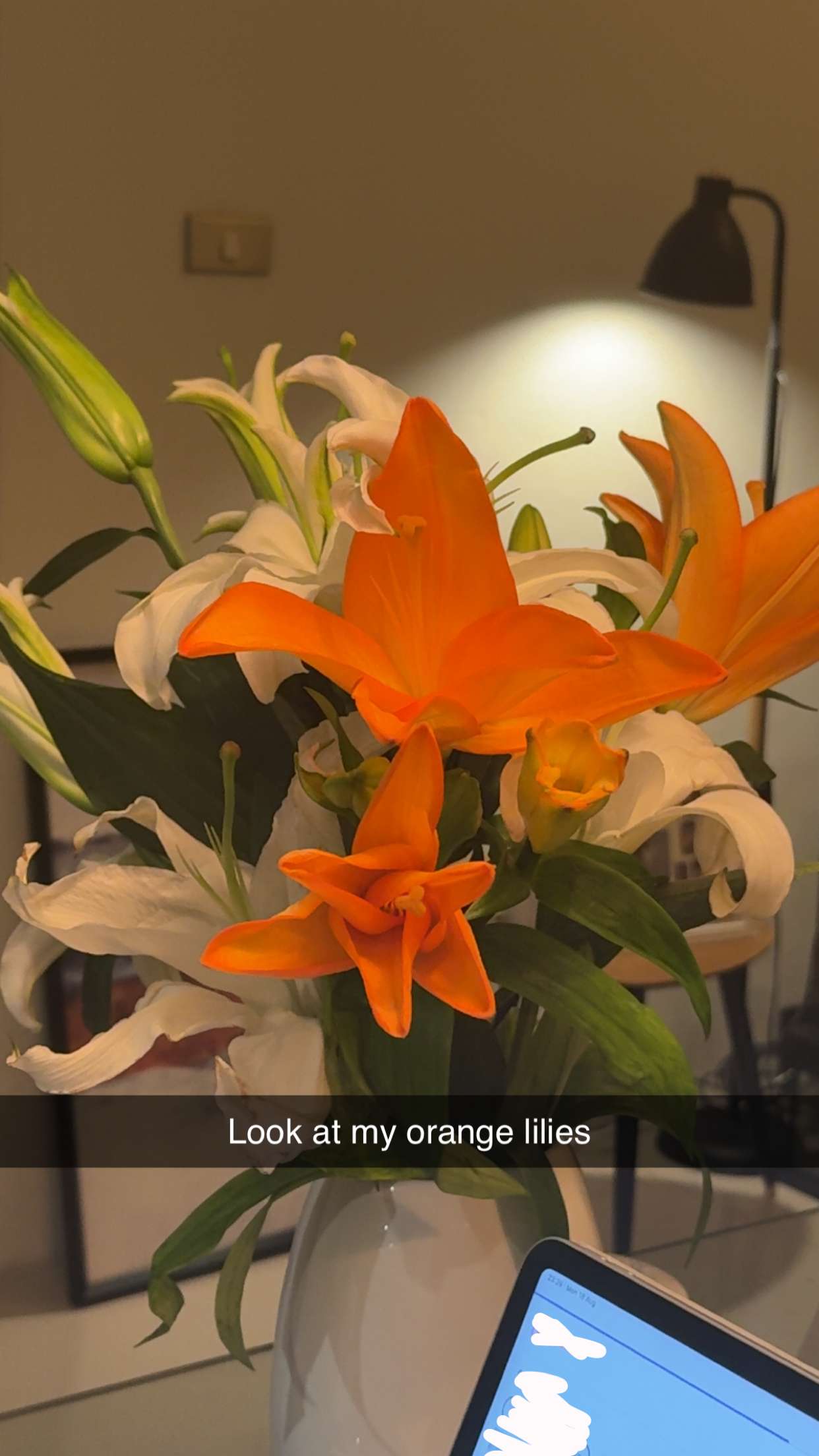 aimeejaiii snapchat image archive image