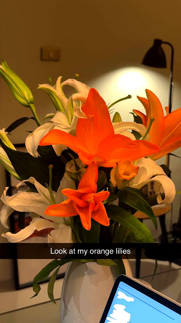 aimeejaiii image ~ Altpins