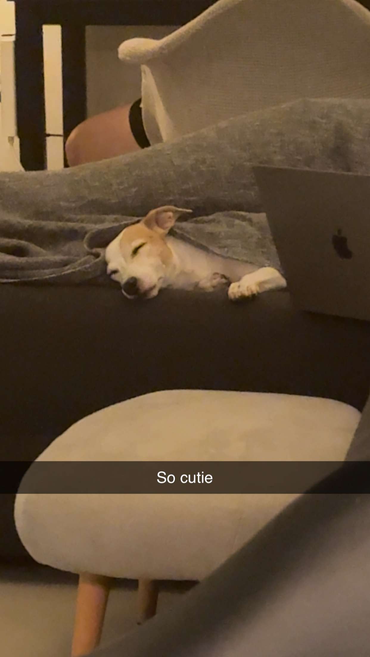 aimeejaiii snapchat image archive image