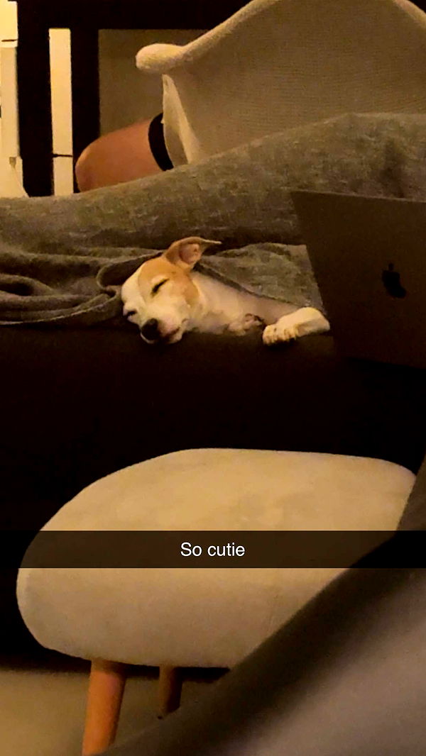 aimeejaiii image ~ Altpins