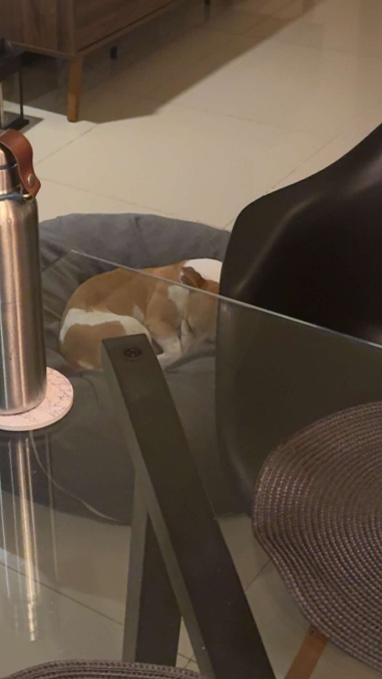 aimeejaiii snapchat image archive image