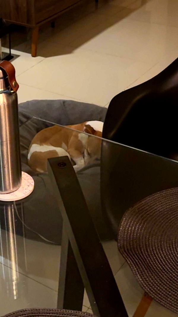 aimeejaiii image ~ Altpins