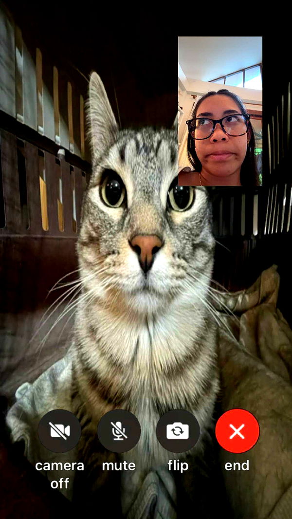 aimeejaiii image ~ Altpins