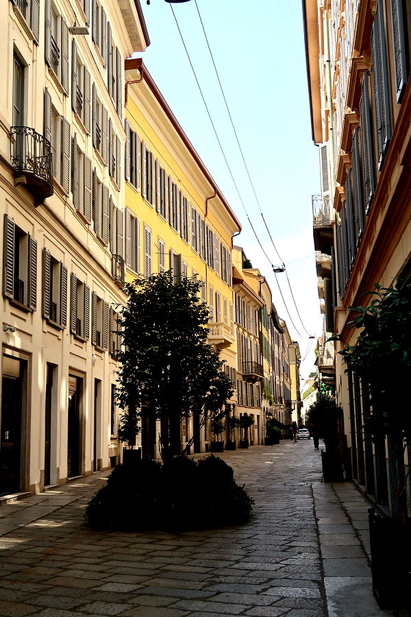 aimeejaiii image ~ Altpins