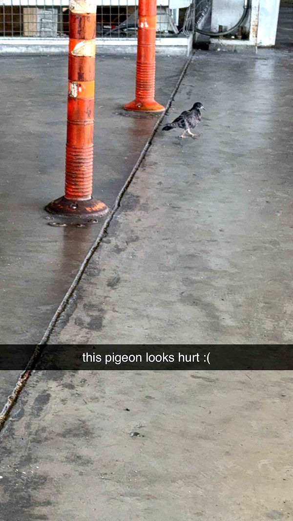 aimeejaiii image ~ Altpins