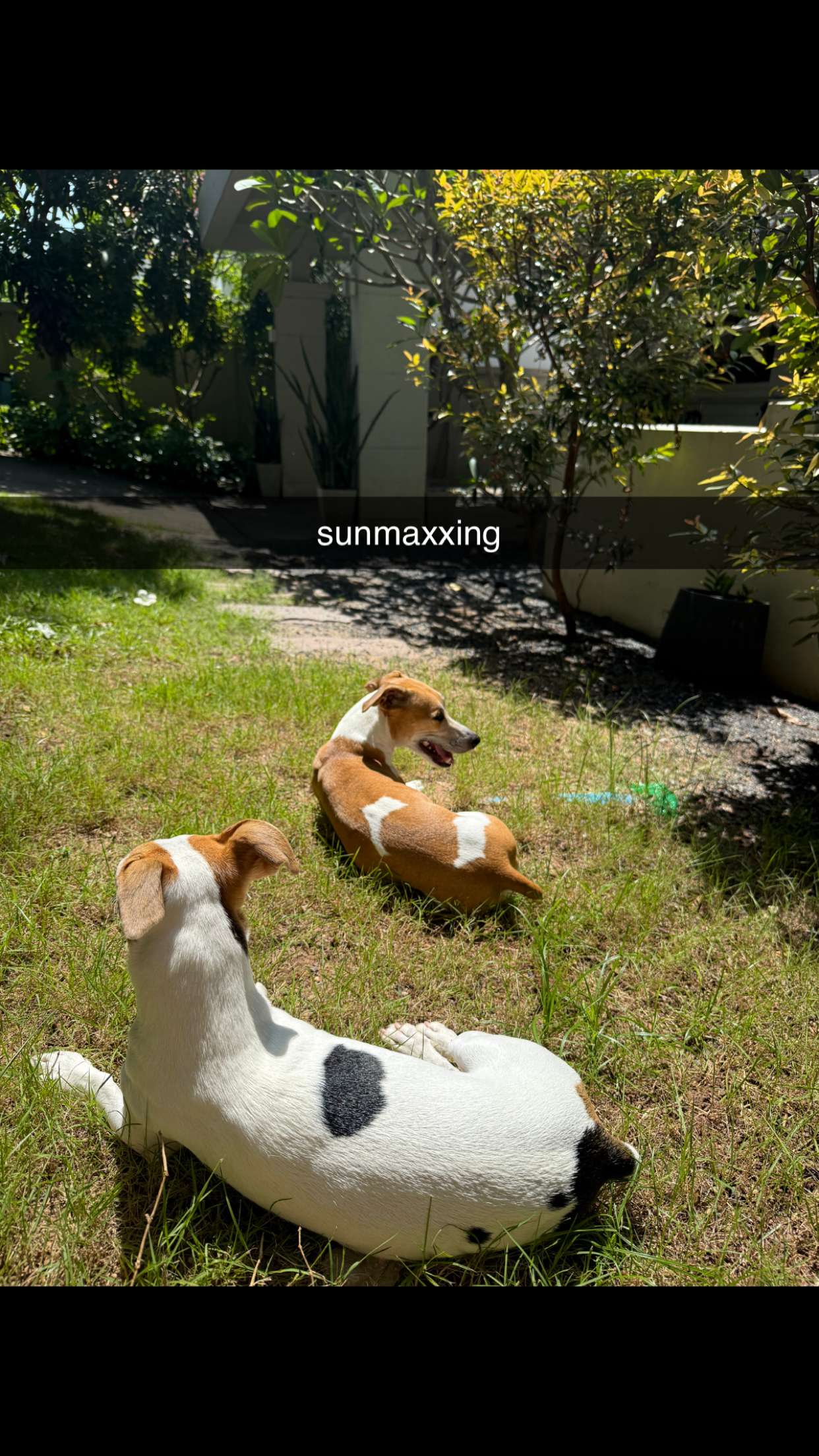 aimeejaiii snapchat image archive image