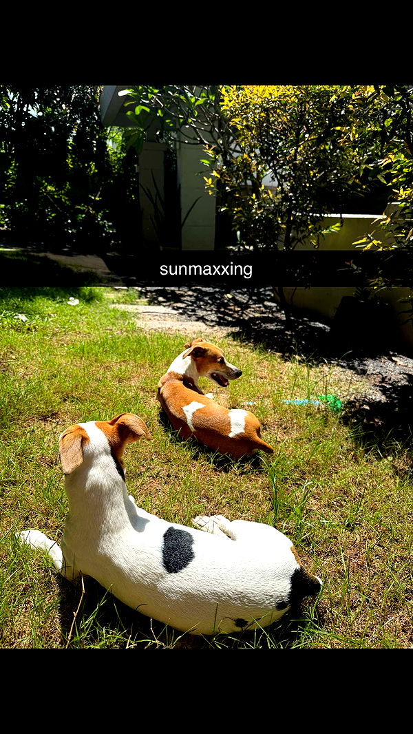 aimeejaiii image ~ Altpins