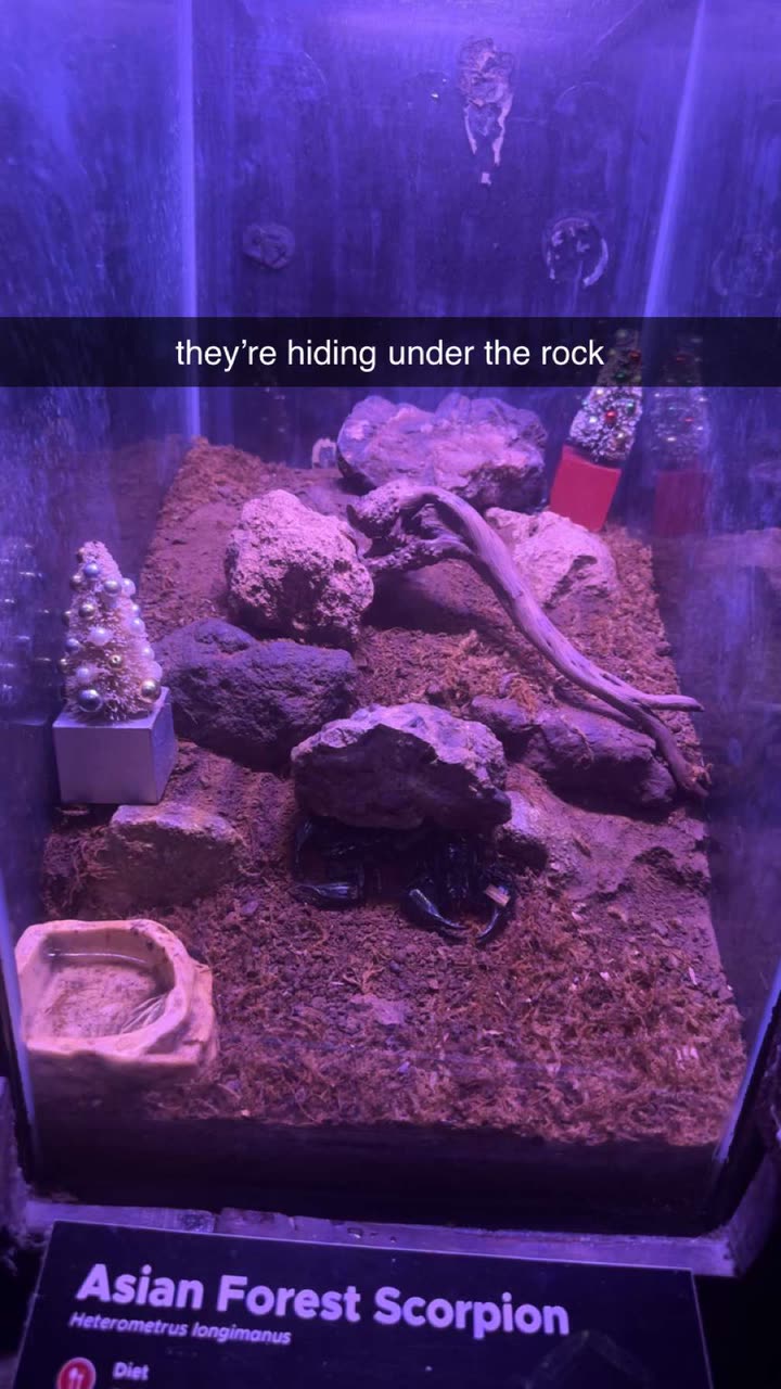 aishahsofeyy snapchat image archive image