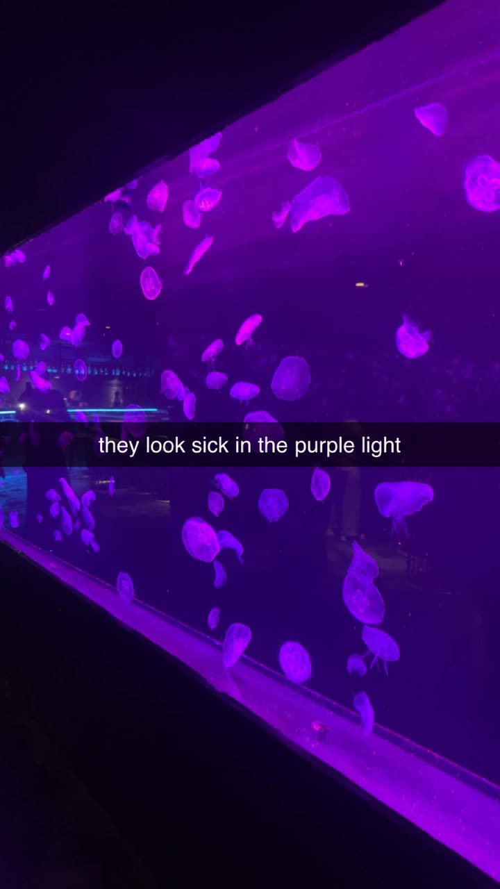 aishahsofeyy snapchat image archive image