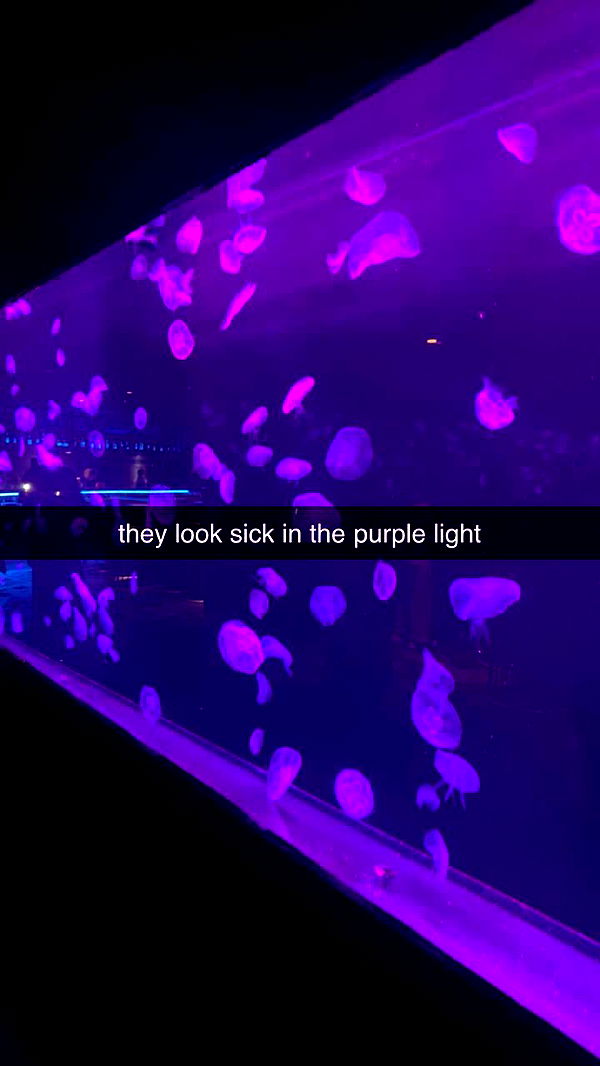 aishahsofeyy image ~ Altpins