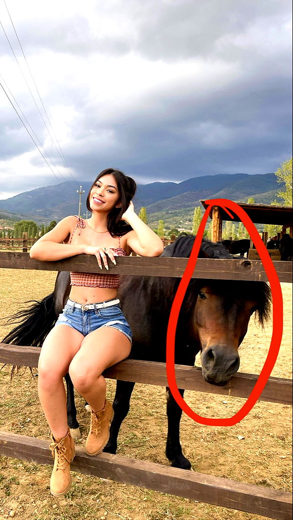 aishahsofeyy image ~ Altpins