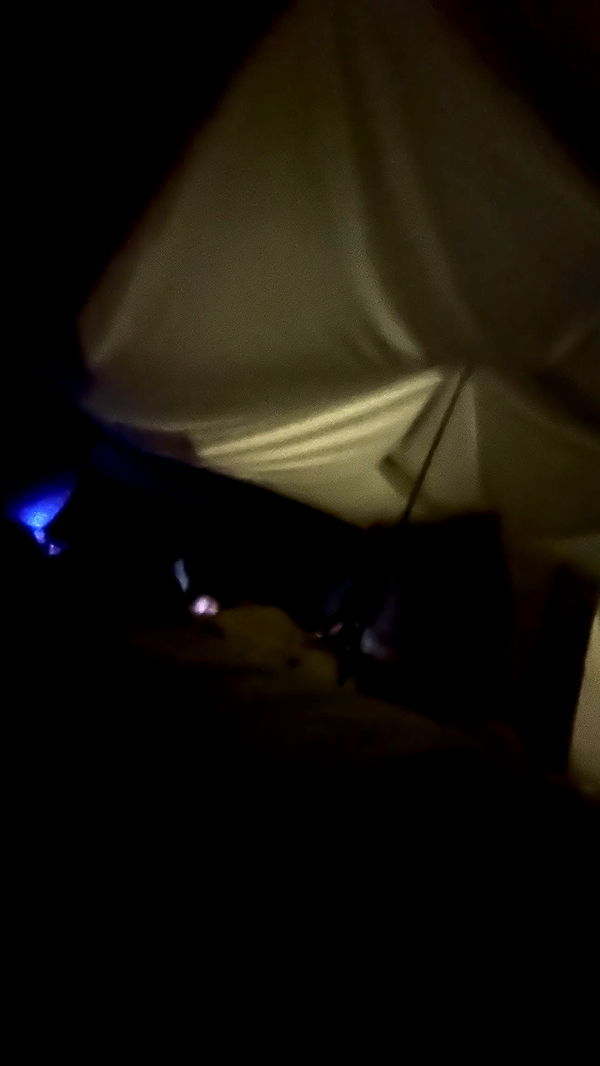 aishahsofeyy image ~ Altpins