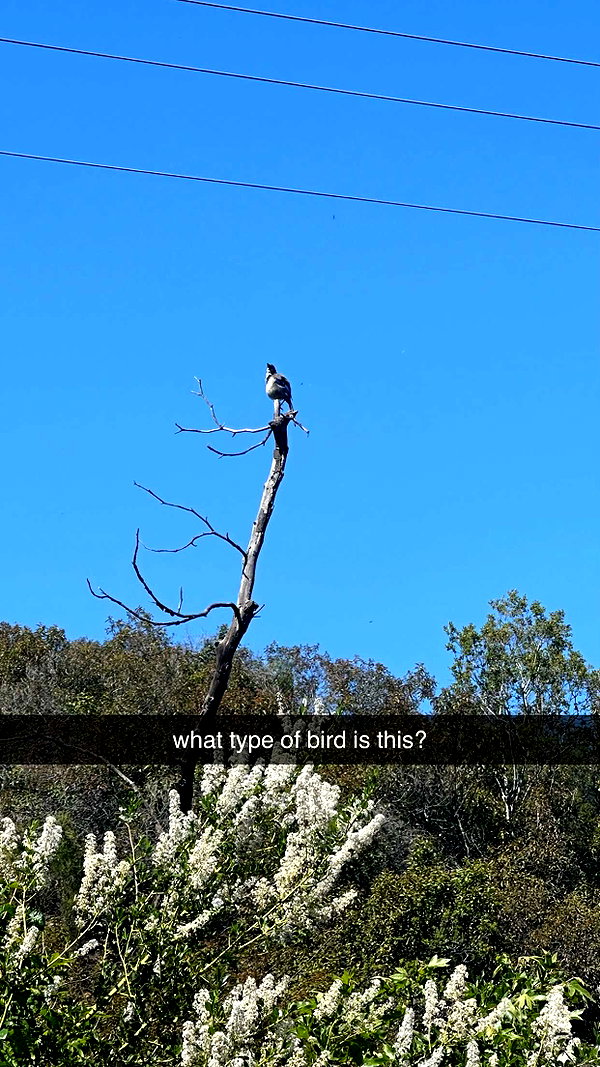 aishahsofeyy snapchat image archive image