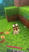 aishahsofeyy Altpins Profile Picture