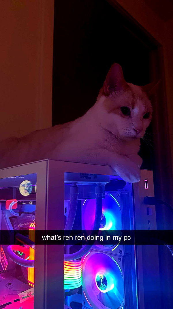 aishahsofeyy snapchat image archive image