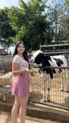 aishahsofeyy Altpins Profile Picture