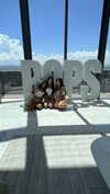 aishahsofeyy Altpins Profile Picture