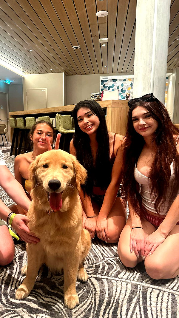 aishahsofeyy snapchat image archive image