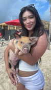 aishahsofeyy Altpins Profile Picture