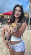 aishahsofeyy Altpins Profile Picture