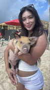 aishahsofeyy Altpins Profile Picture