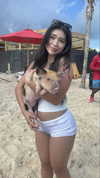 aishahsofeyy Altpins Profile Picture