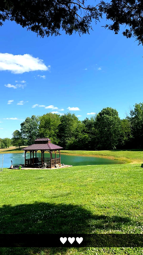 alexaadams30 image ~ Altpins