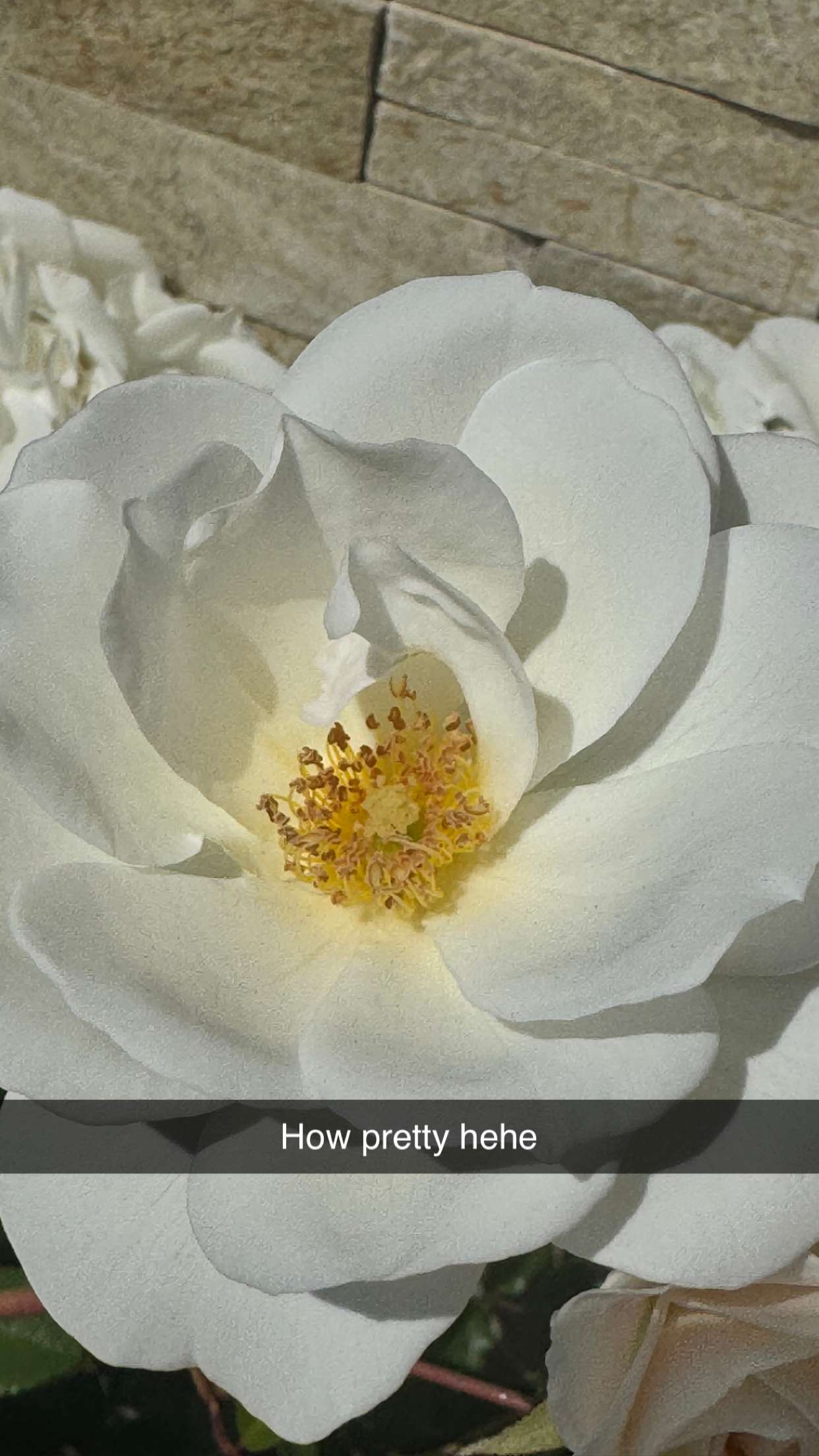 alexaadams30 snapchat image archive image