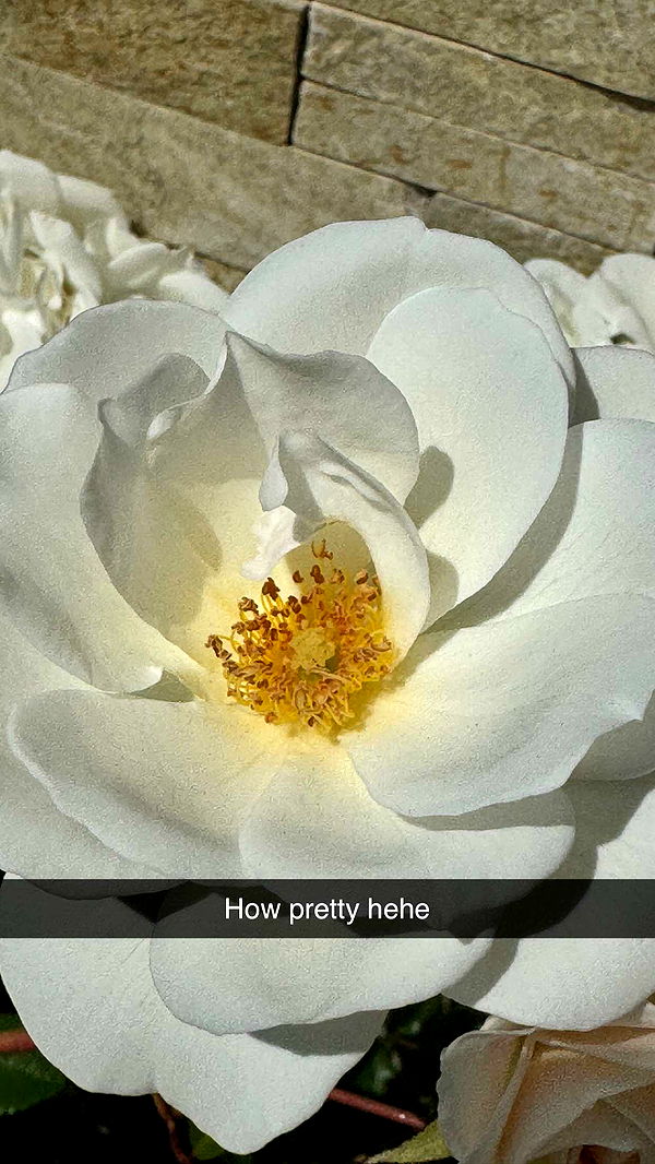 alexaadams30 image ~ Altpins