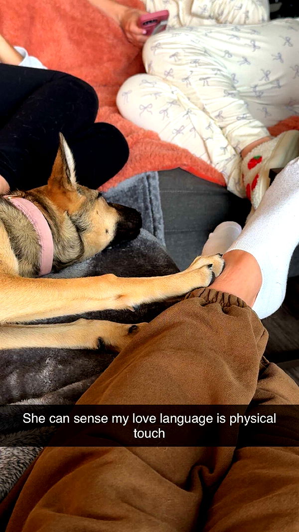 alexaadams30 image ~ Altpins