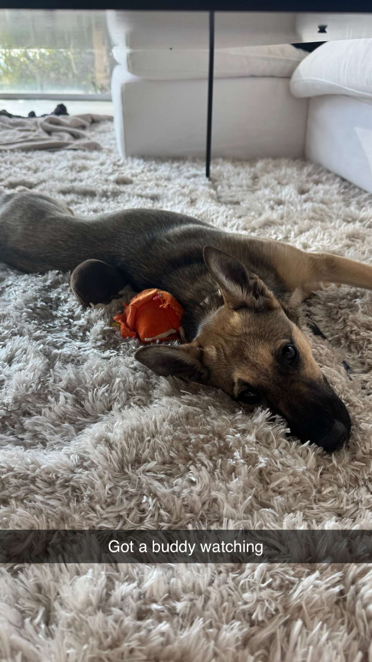 alexaadams30 snapchat image archive image