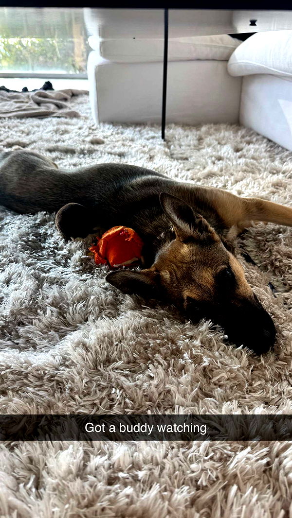 alexaadams30 image ~ Altpins